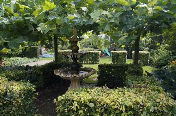 Bomen en planten in Doetinchem